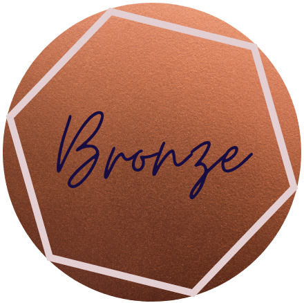 bronze social media management bronze package smm social+